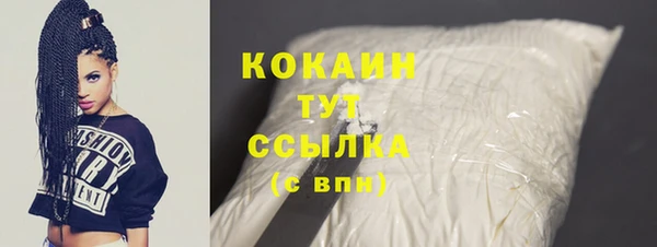 шишки Волоколамск