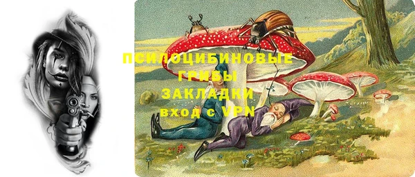 шишки Волоколамск