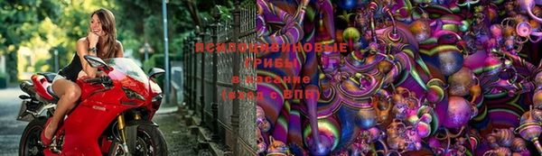 гидра Волосово