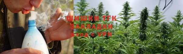 гидра Волосово
