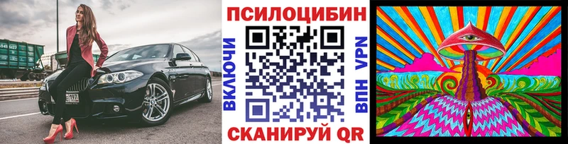 Псилоцибиновые грибы прущие грибы  купить наркотики сайты  hydra маркетплейс  Ишим 